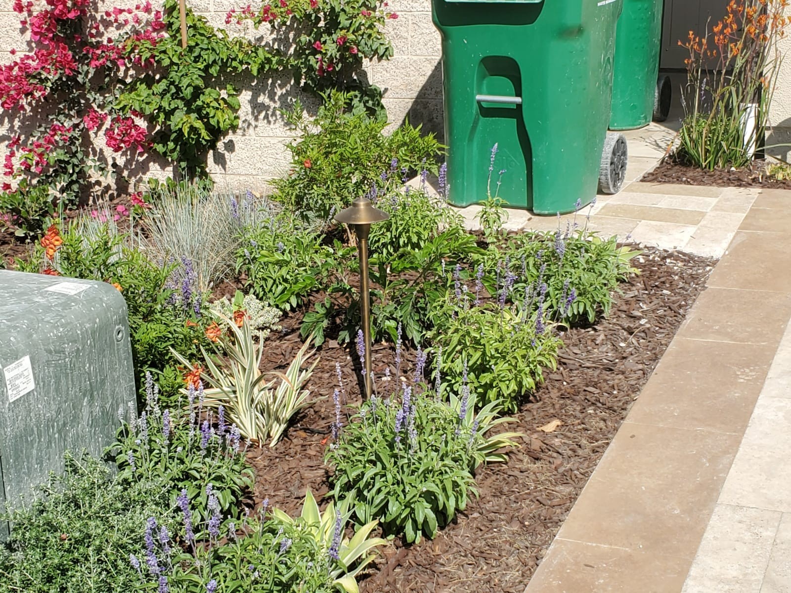 Landscaping 