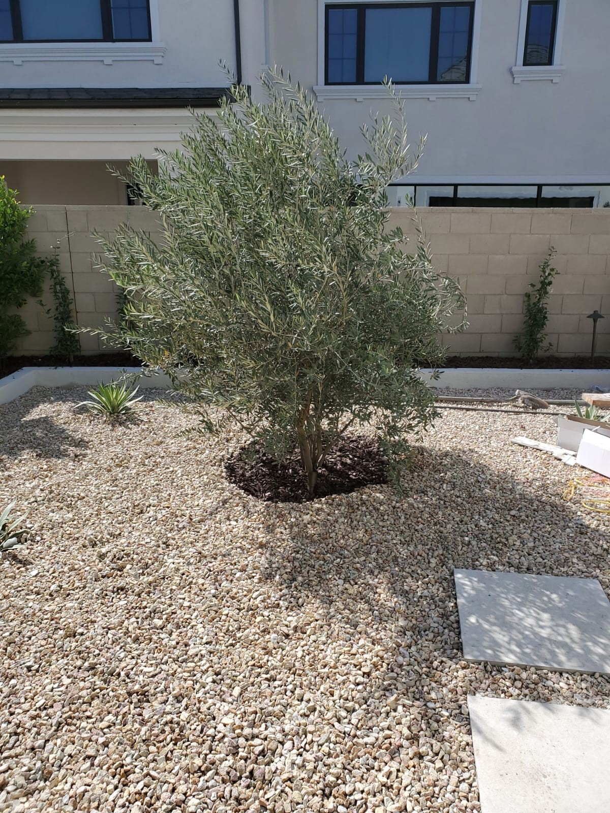 Landscaping 