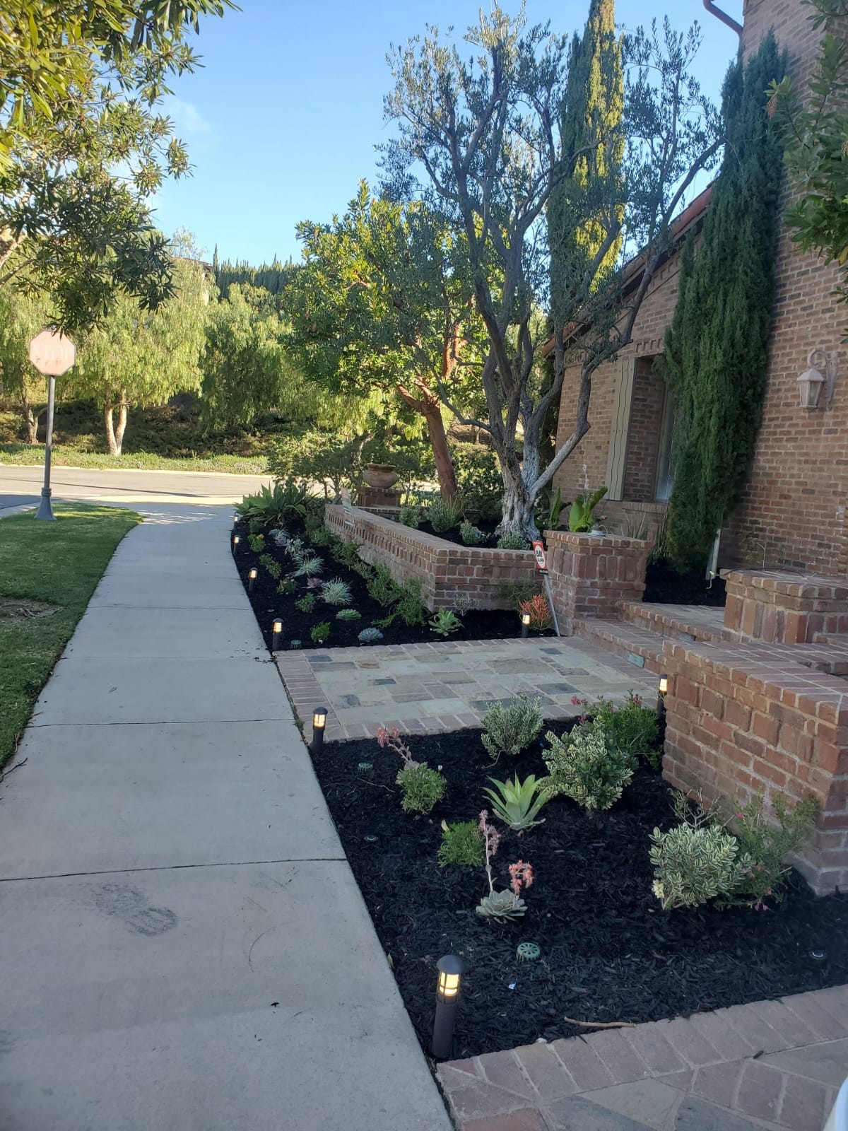 Landscaping 