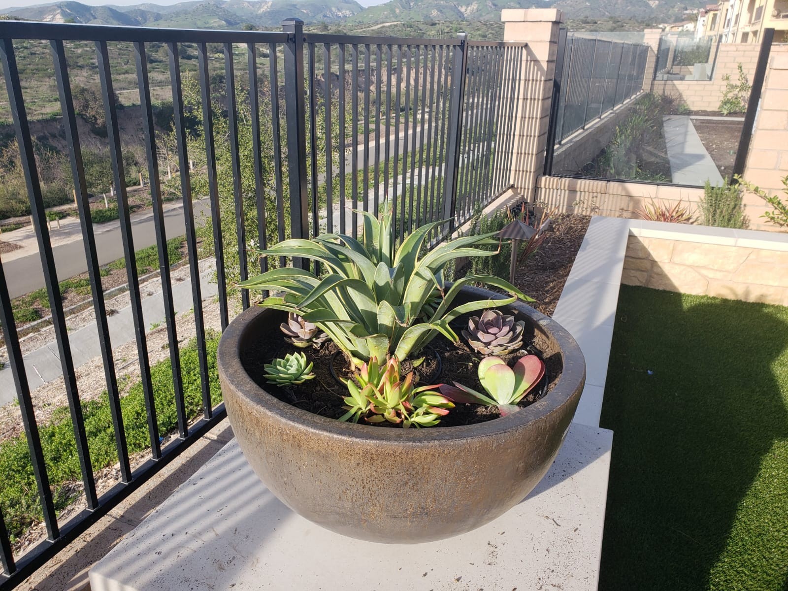 Landscaping 
