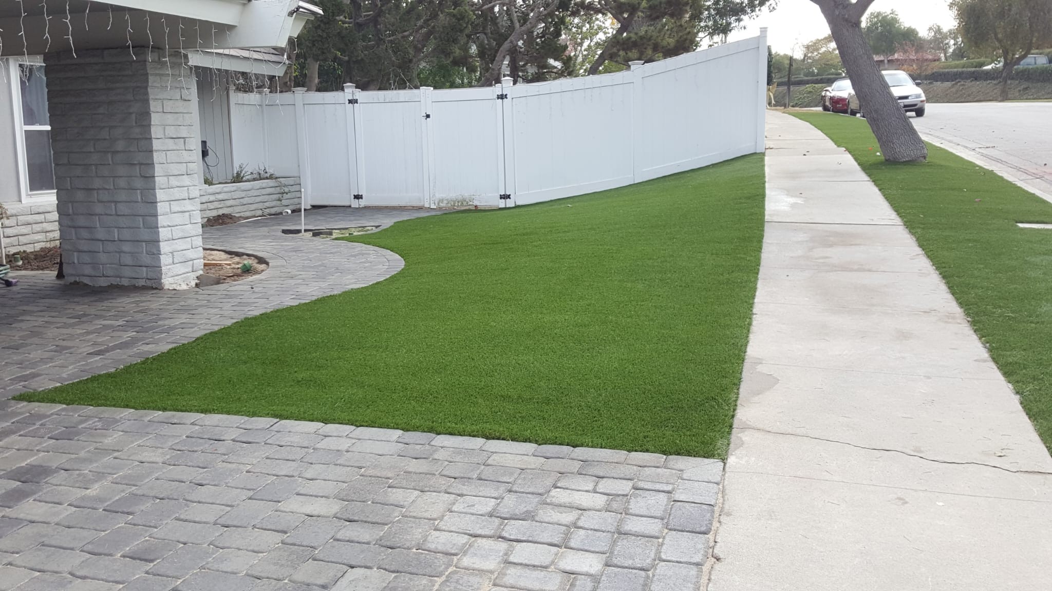 Natural Grass 