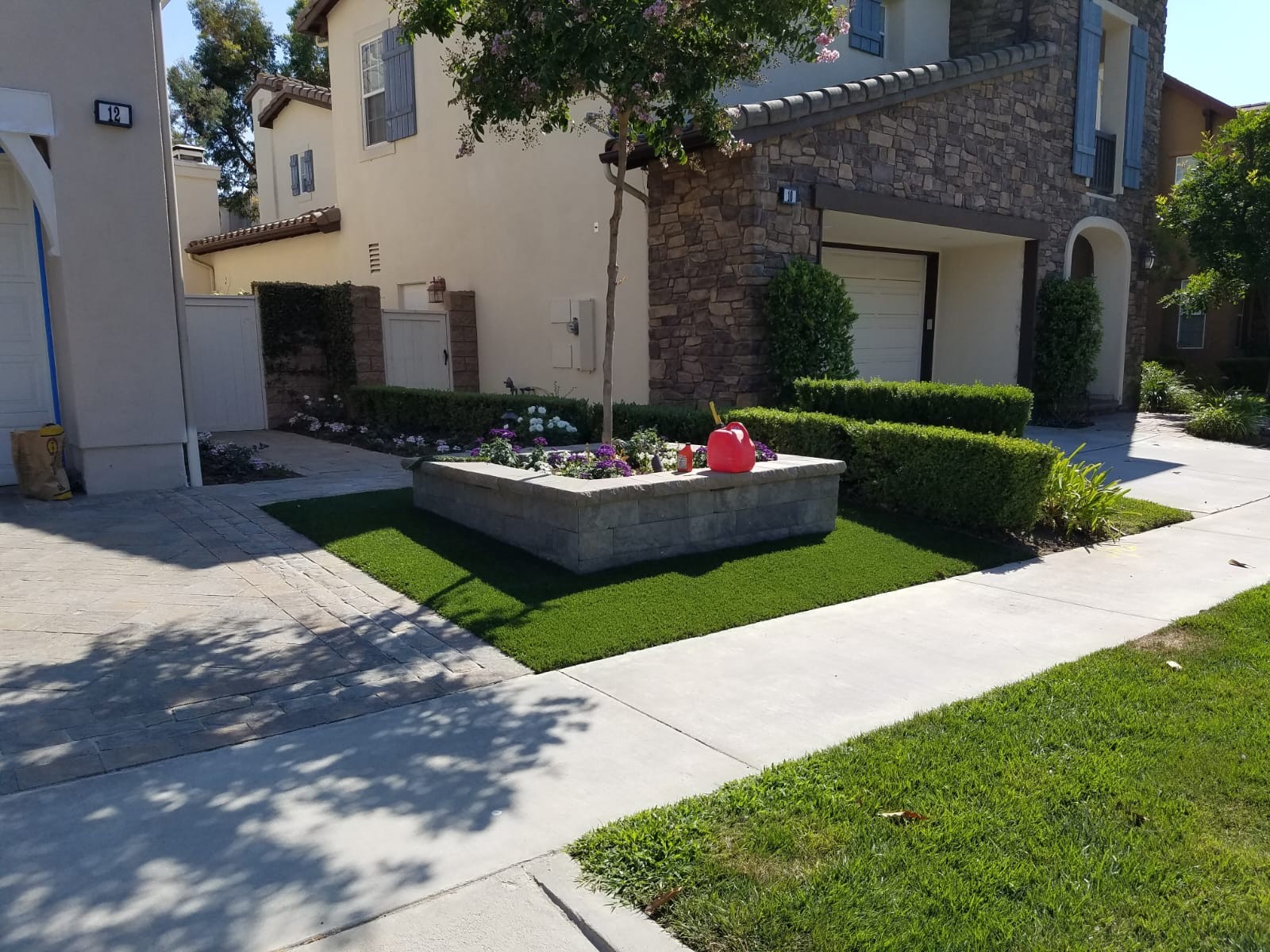Natural Grass 