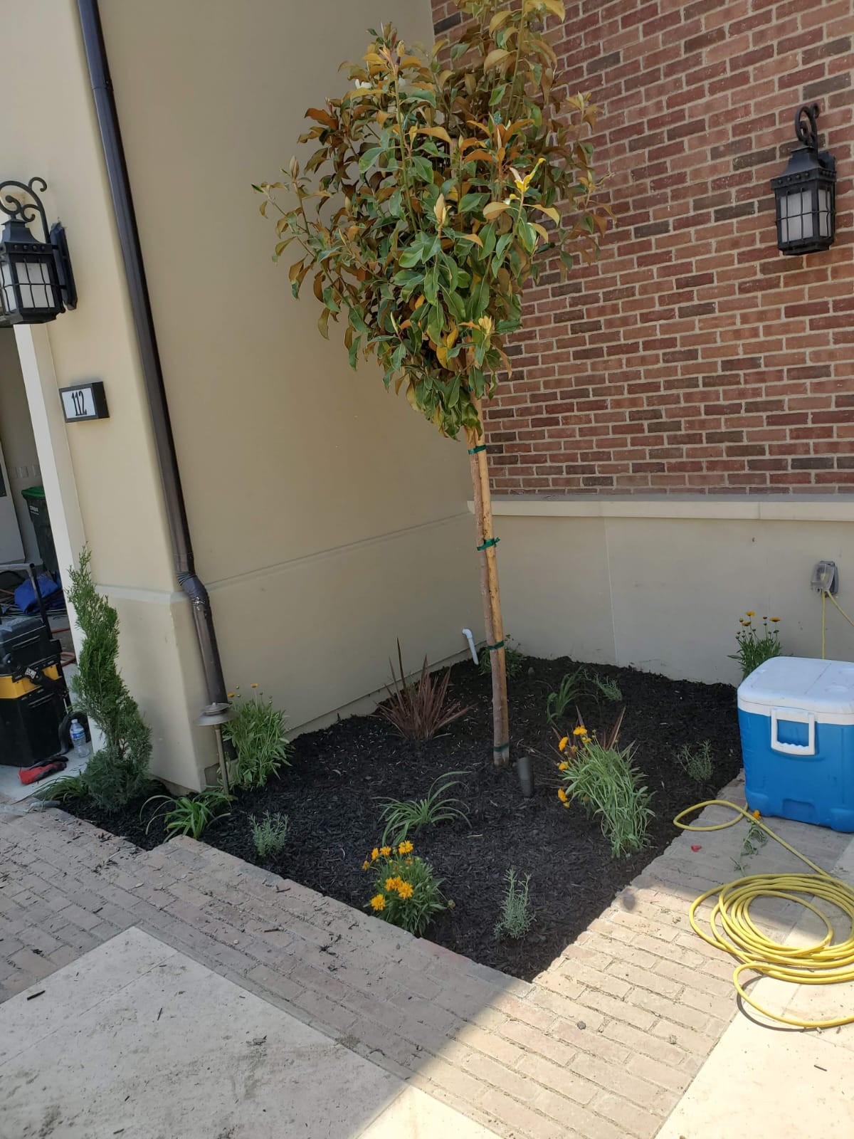 Planting Design 