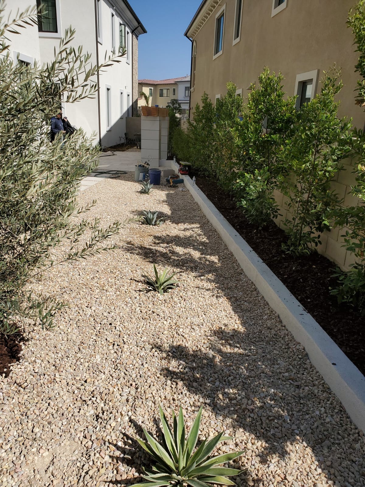 Planting Design 