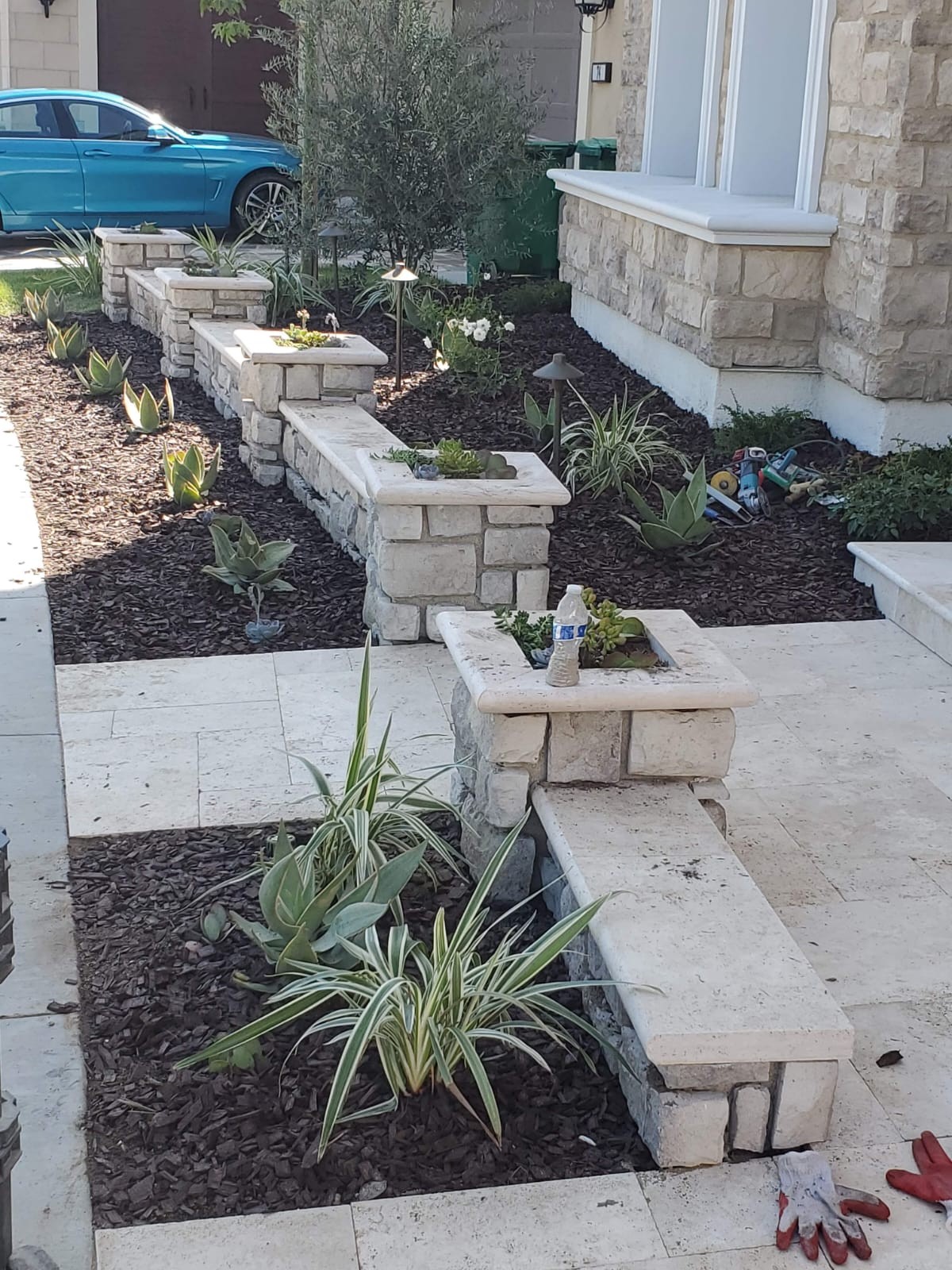 Planting Design 