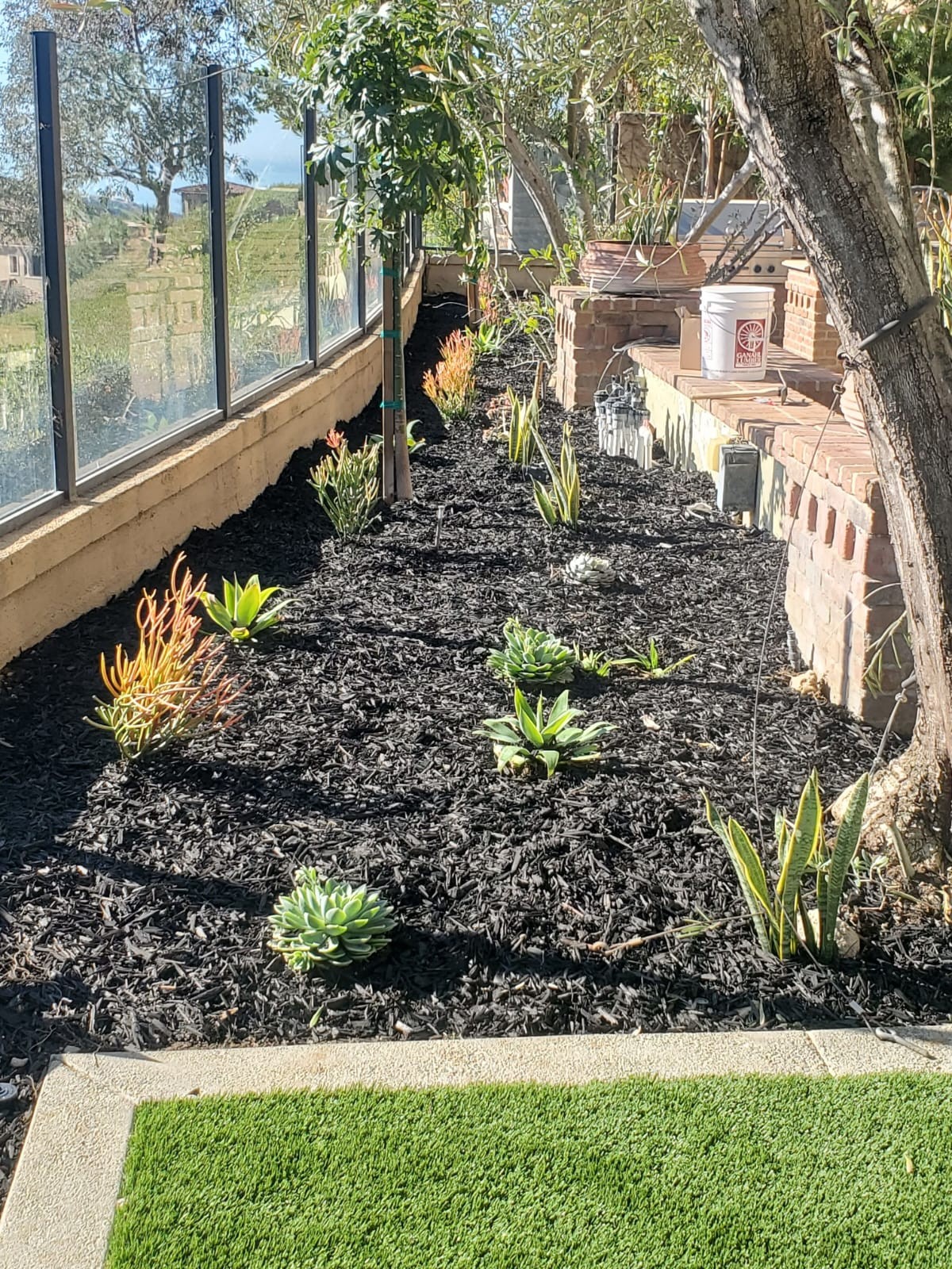 Planting Design 