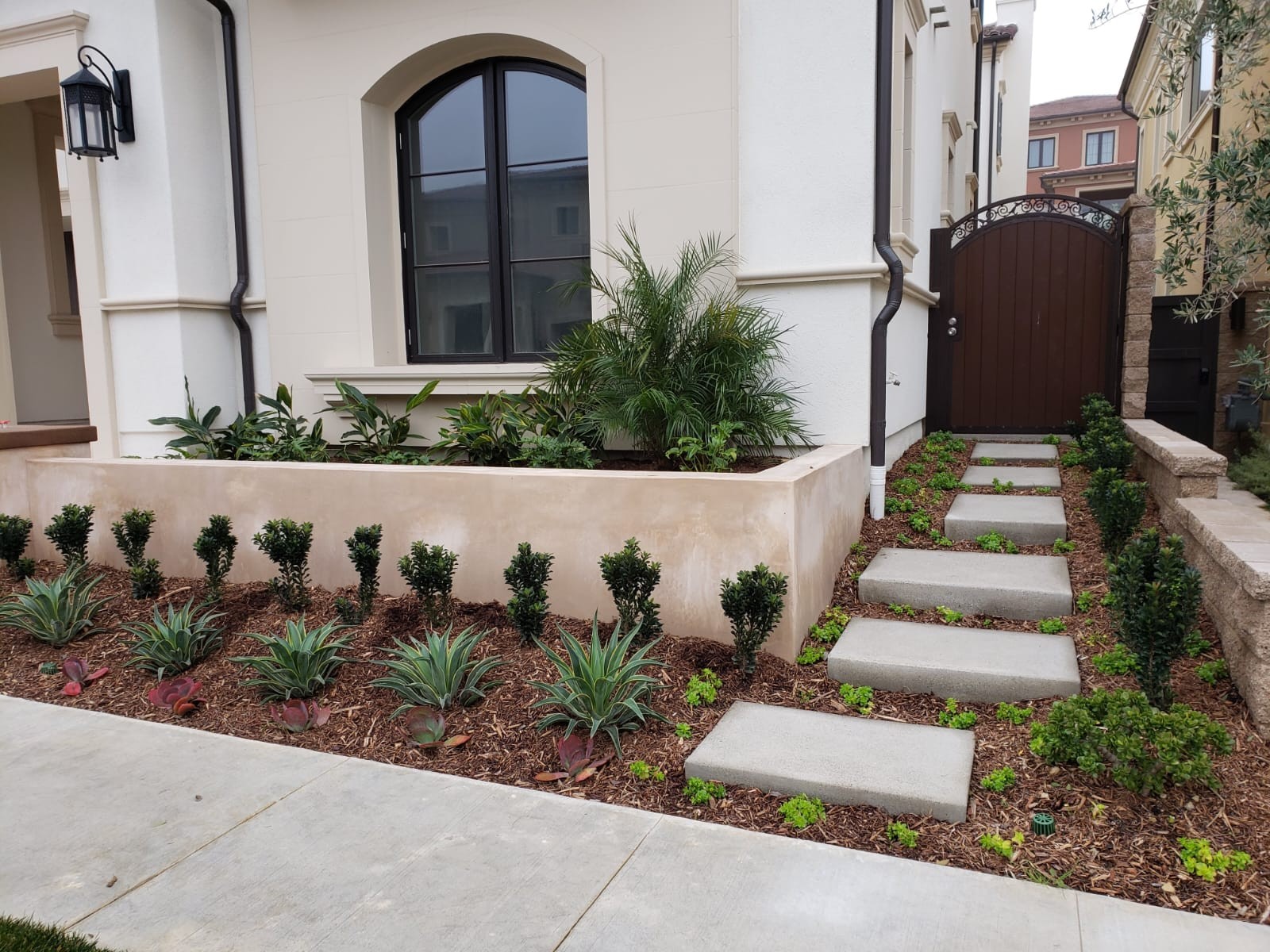 Planting Design 