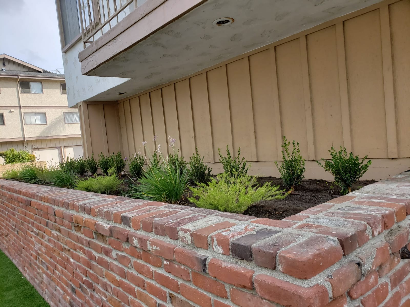 Planting Design 