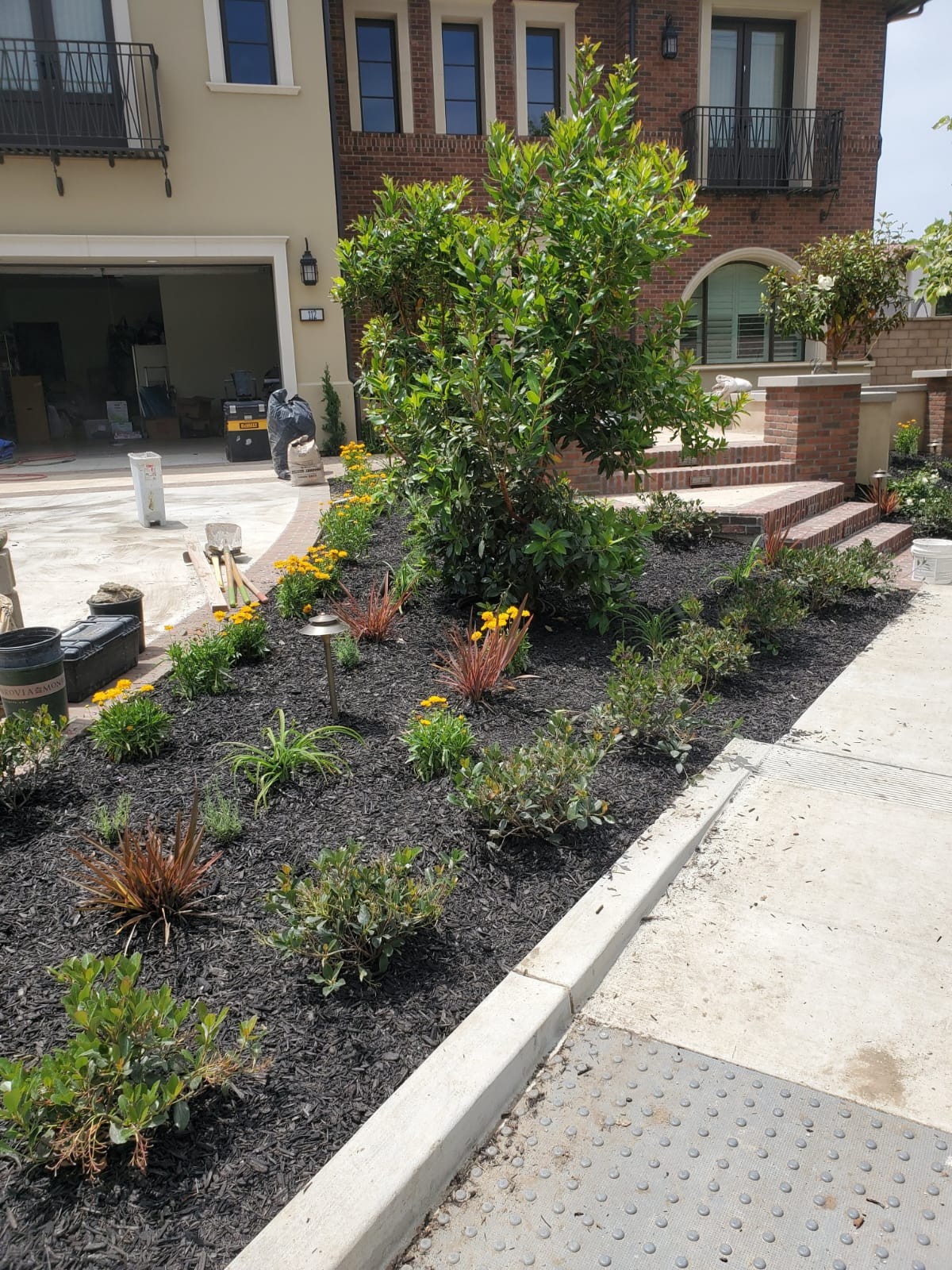 Planting Design 